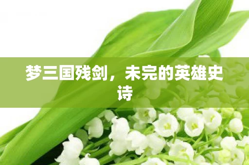 未完的英雄史诗图片