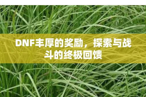 探索与战斗的终极回馈图片