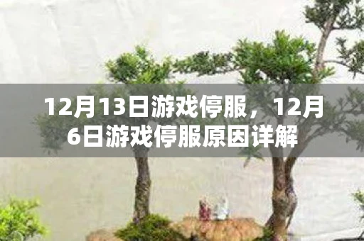 12月13日游戏停服，12月6日游戏停服原因详解