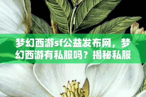 梦幻西游sf公益发布网，梦幻西游有私服吗？揭秘私服背后的真相