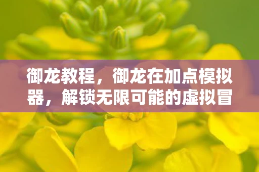 御龙教程，御龙在加点模拟器，解锁无限可能的虚拟冒险