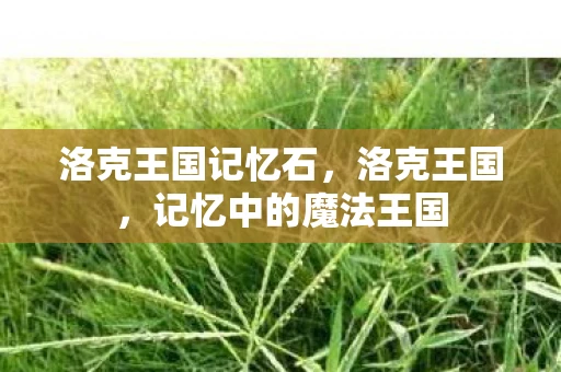 洛克王国记忆石，洛克王国，记忆中的魔法王国