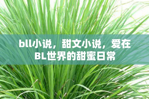 bll小说，甜文小说，爱在BL世界的甜蜜日常