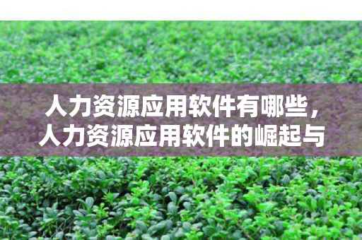 人力资源应用软件有哪些，人力资源应用软件的崛起与变革