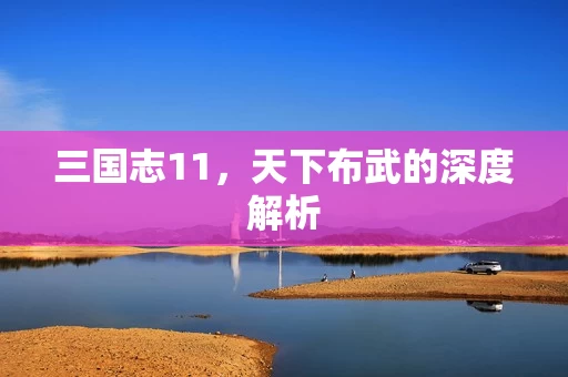 天下布武的深度解析图片