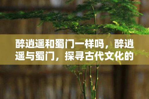 醉逍遥和蜀门一样吗，醉逍遥与蜀门，探寻古代文化的浪漫与神秘