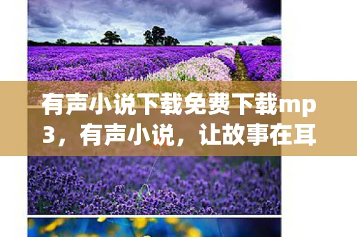 有声小说下载免费下载mp3，有声小说，让故事在耳边绽放