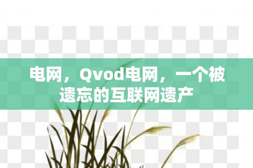 电网，Qvod电网，一个被遗忘的互联网遗产