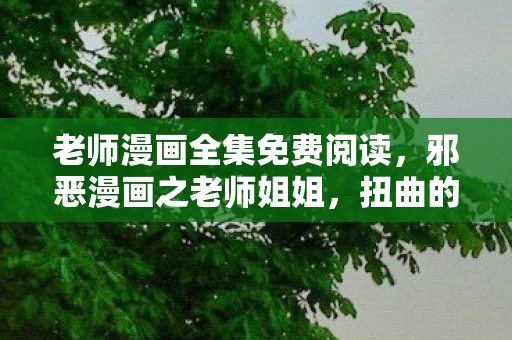 老师漫画全集免费阅读，邪恶漫画之老师姐姐，扭曲的幻想与道德边界