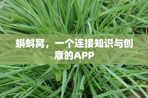蝌蚪窝，一个连接知识与创意的APP