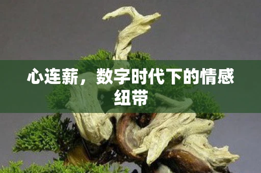心连薪，数字时代下的情感纽带