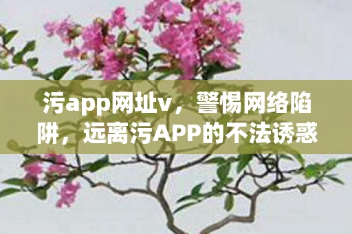 污app网址v，警惕网络陷阱，远离污APP的不法诱惑