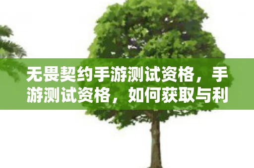无畏契约手游测试资格，手游测试资格，如何获取与利用