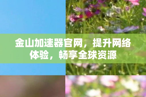 金山加速器官网，提升网络体验，畅享全球资源
