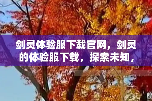 剑灵体验服下载官网，剑灵的体验服下载，探索未知，感受极致战斗