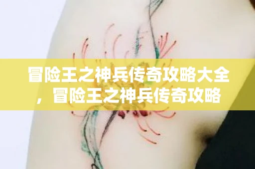 冒险王之神兵传奇攻略大全，冒险王之神兵传奇攻略