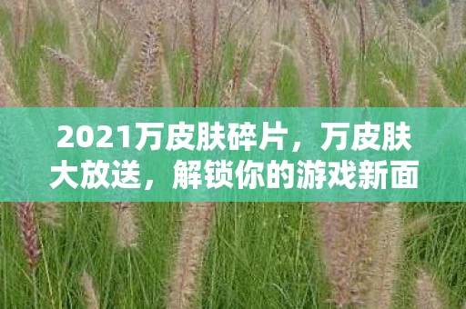 2021万皮肤碎片，万皮肤大放送，解锁你的游戏新面貌
