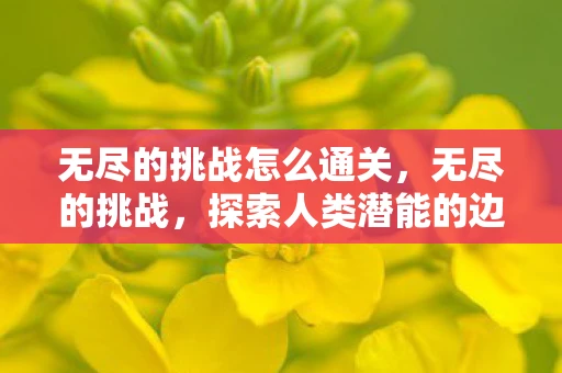 无尽的挑战怎么通关，无尽的挑战，探索人类潜能的边界