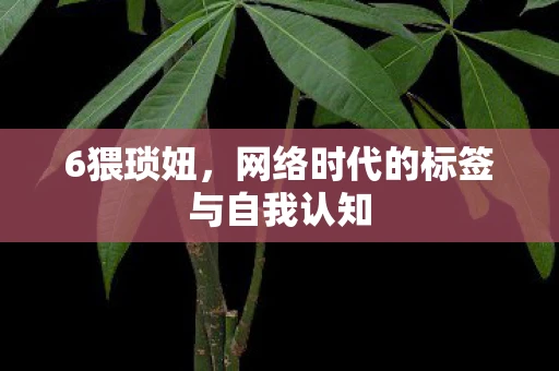 6猥琐妞，网络时代的标签与自我认知