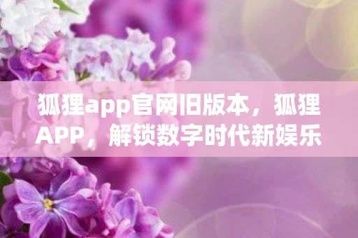 狐狸app官网旧版本，狐狸APP，解锁数字时代新娱乐的钥匙