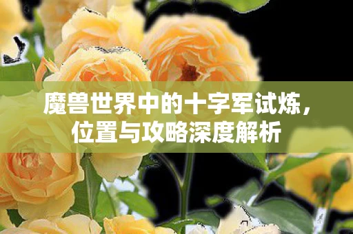 魔兽世界中的十字军试炼图片
