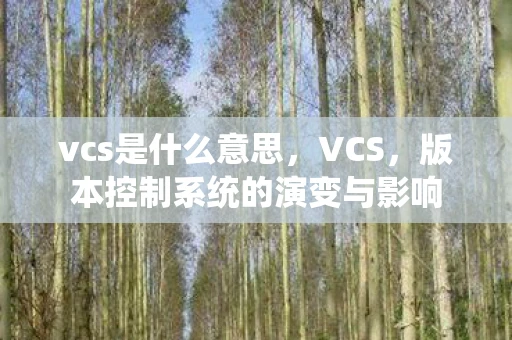 vcs是什么意思，VCS，版本控制系统的演变与影响