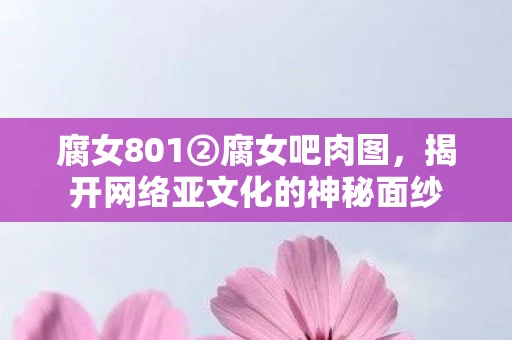 腐女801②腐女吧肉图，揭开网络亚文化的神秘面纱