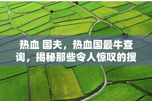 热血 国夫，热血国最牛查询，揭秘那些令人惊叹的搜索工具