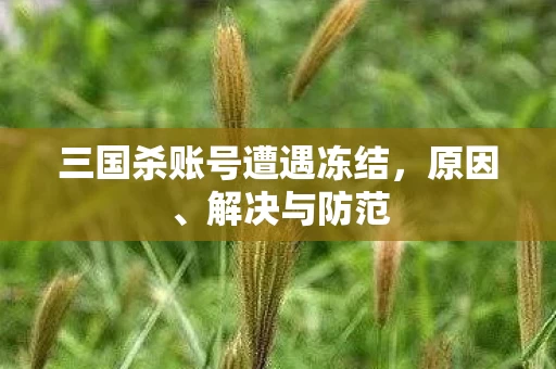 三国杀账号遭遇冻结图片