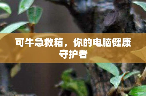 可牛急救箱，你的电脑健康守护者