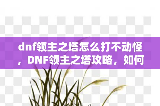 dnf领主之塔怎么打不动怪，DNF领主之塔攻略，如何轻松击败各路领主