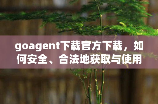 goagent下载官方下载，如何安全、合法地获取与使用GoAgent代理软件
