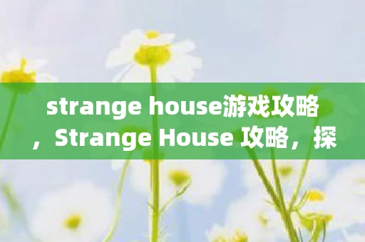 strange house游戏攻略，Strange House 攻略，探索神秘之家的秘密