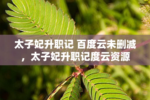 太子妃升职记 百度云未删减，太子妃升职记度云资源