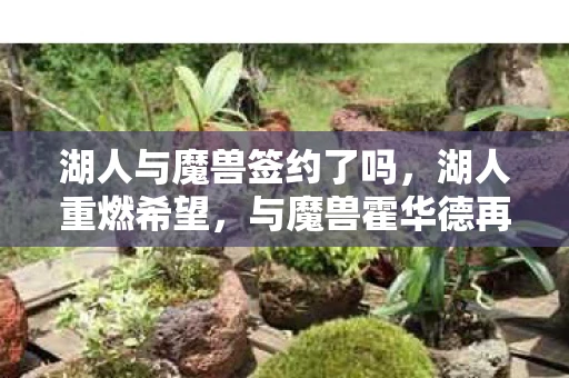 湖人与魔兽签约了吗，湖人重燃希望，与魔兽霍华德再度携手