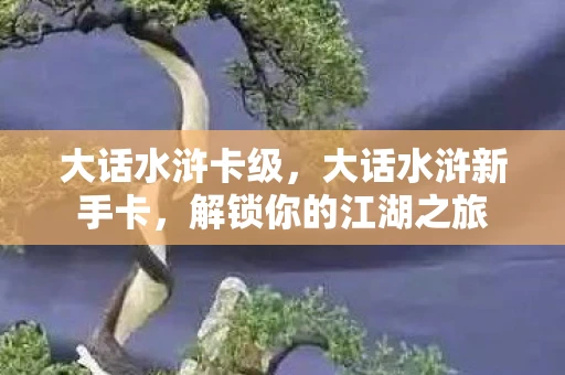 大话水浒卡级，大话水浒新手卡，解锁你的江湖之旅
