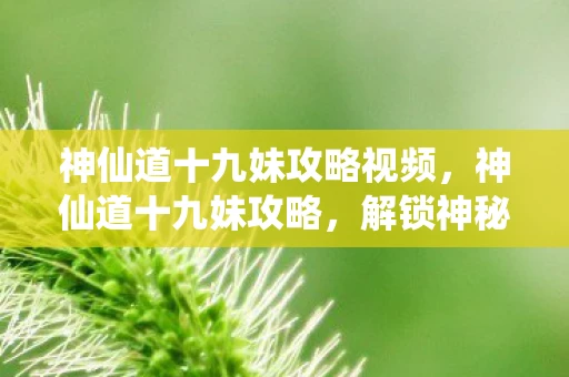 神仙道十九妹攻略视频，神仙道十九妹攻略，解锁神秘角色，提升战力指南