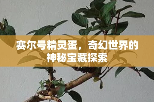 奇幻世界的神秘宝藏探索图片