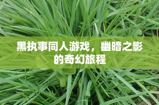 幽暗之影的奇幻旅程图片