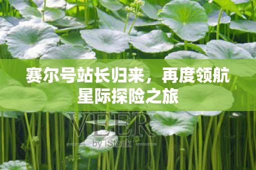 再度领航星际探险之旅图片