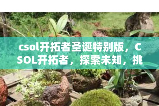 csol开拓者圣诞特别版，CSOL开拓者，探索未知，挑战极限