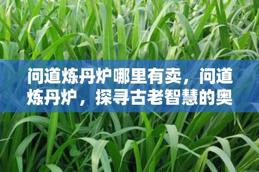 问道炼丹炉哪里有卖，问道炼丹炉，探寻古老智慧的奥秘