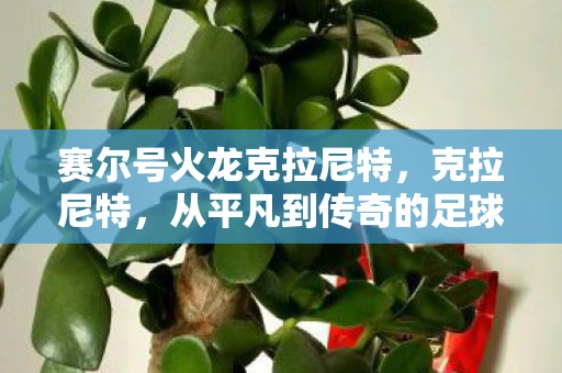 赛尔号火龙克拉尼特，克拉尼特，从平凡到传奇的足球之旅