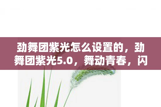 劲舞团紫光怎么设置的，劲舞团紫光5.0，舞动青春，闪耀新纪元