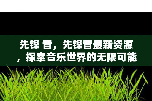 先锋 音，先锋音最新资源，探索音乐世界的无限可能