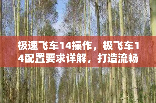 极速飞车14操作，极飞车14配置要求详解，打造流畅游戏体验