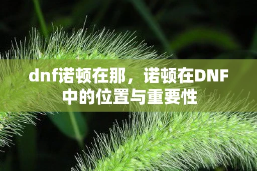 dnf诺顿在那，诺顿在DNF中的位置与重要性