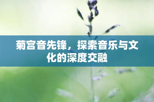菊宫音先锋，探索音乐与文化的深度交融