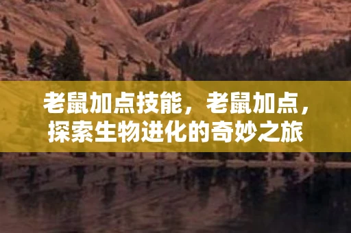 老鼠加点技能，老鼠加点，探索生物进化的奇妙之旅