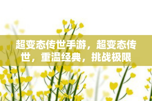 超变态传世手游，超变态传世，重温经典，挑战极限